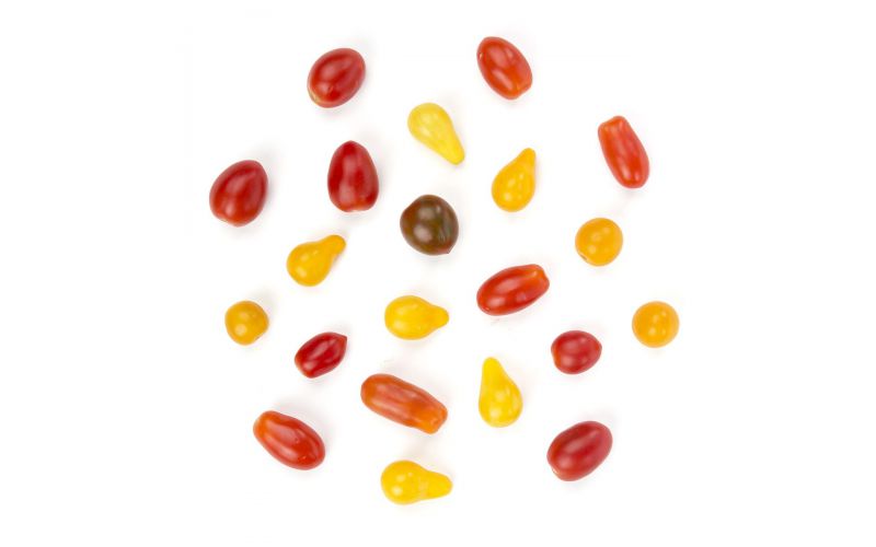 Medley Mix Tomatoes