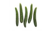 Japanese Cucumbers