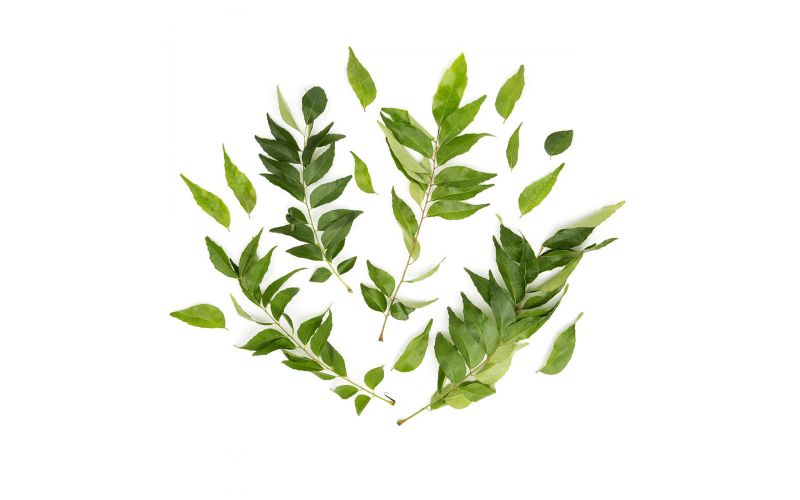 Curry Leaves