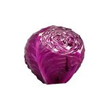 Red Cabbage