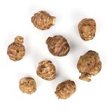Sunchokes