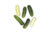 Kirby Cucumbers