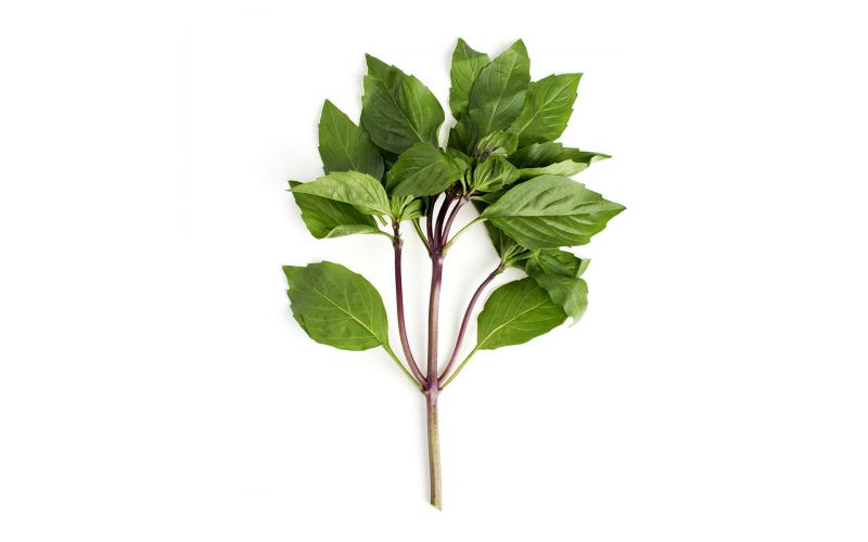 Thai Basil
