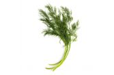 Dill