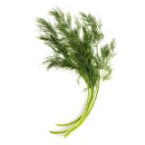 Dill