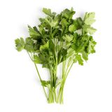 Italian Parsley
