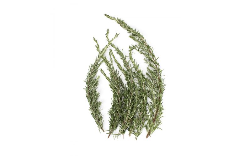 Rosemary