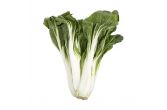 Organic Bok Choy