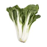 Organic Bok Choy