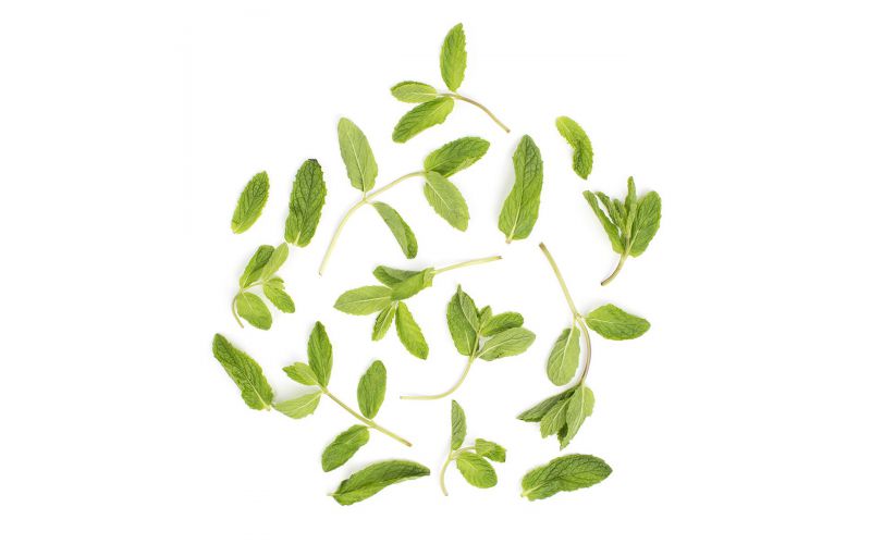 Organic Mint