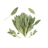 Sage