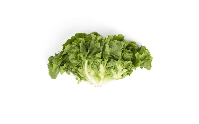Escarole