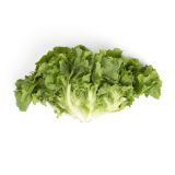 Escarole