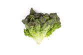 Organic Red Leaf Lettuce