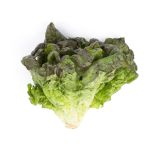 Organic Red Leaf Lettuce