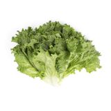 Organic Green Leaf Lettuce