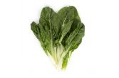 Organic Green Swiss Chard