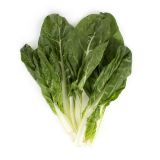 Organic Green Swiss Chard