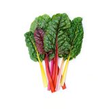 Organic Rainbow Swiss Chard