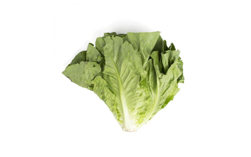 Organic Romaine Lettuce