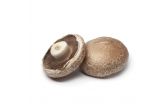 Large Portobello Mushrooms