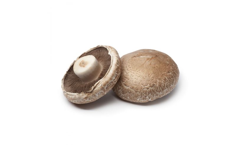 Large Portobello Mushrooms