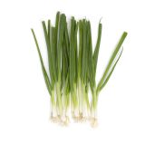 Iceless Scallions