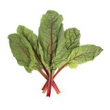 Organic Red Swiss Chard
