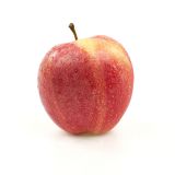 Organic Gala Apples