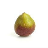 Seckel Pears