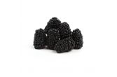 Frozen Blackberries