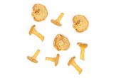 Chanterelle Button Mushrooms