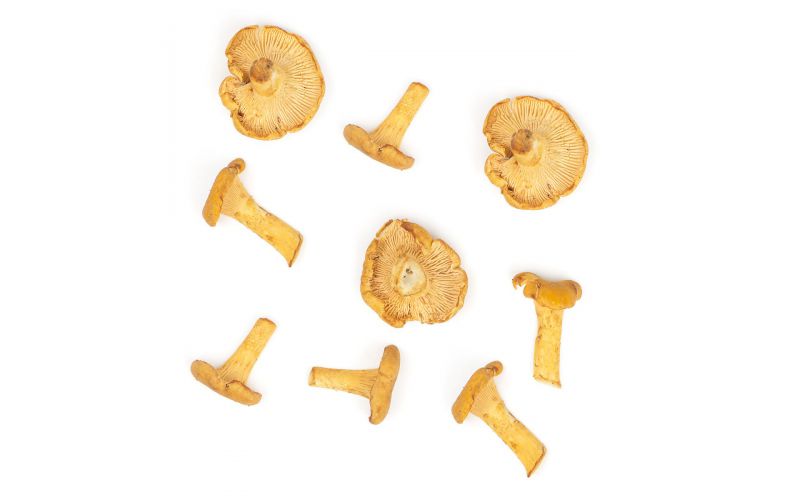 Chanterelle Button Mushrooms