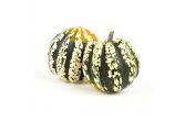 Organic Carnival Squash