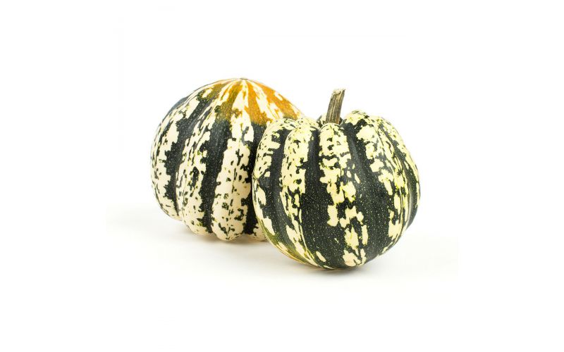 Organic Carnival Squash