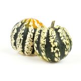 Organic Carnival Squash