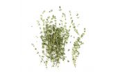 Lemon Thyme