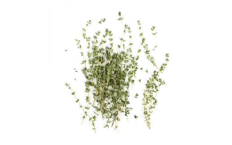 Lemon Thyme