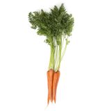 Organic Bunch Carrots