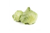 Garden Heart Baby Iceberg Lettuce