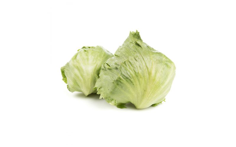 Garden Heart Baby Iceberg Lettuce