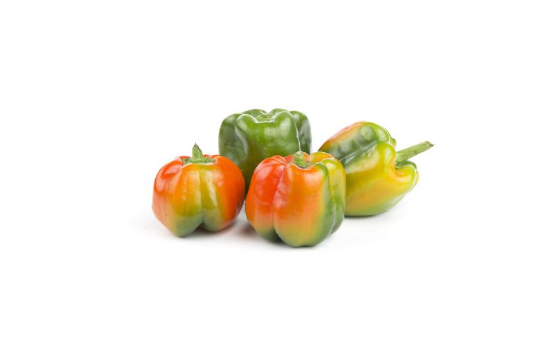 Sun Tan Peppers