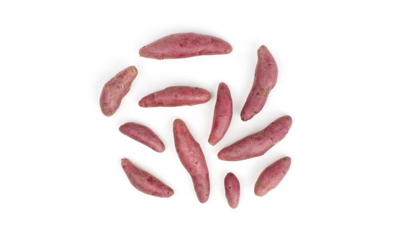 Red Chile Fingerling Potato