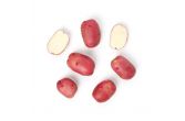 Organic Red A Potatoes