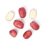 Organic Red A Potatoes