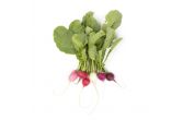 Organic Easter Radishes
