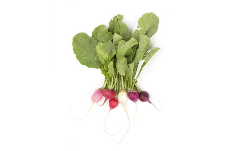 Organic Easter Radishes