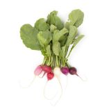 Organic Easter Radishes