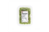 Micro Green Mustard