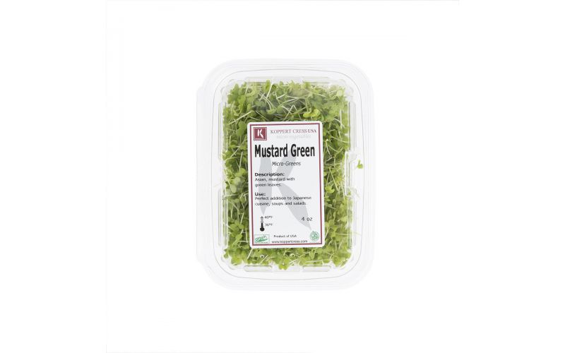 Micro Green Mustard